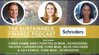 How Three Schroders Portfolios Target the "S" in ESG Strategies