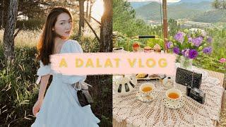 Đà Lạt vlog: một chuyến đi toàn đồ ăn ngon + những quán cafe xinh  | Chloe Nguyen & Zim Pham