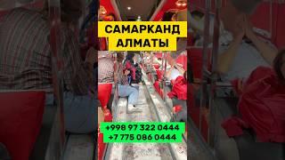Самарканд Алматы спальный автобус #самарканд #алматы #автобусы #узбекистан #ozbekiston #uzbekistan