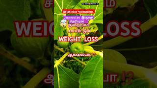 உடல் எடையைக் குறைக்கும் நீர்  |Weight loss |Web Special | my own channel 4a Tv