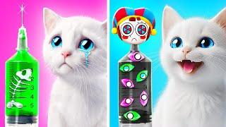 My Kitty Loves Digital Circus  Best Hacks for Pet Owners