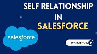 Self Relationship in Salesforce | Relationships in Salesforce