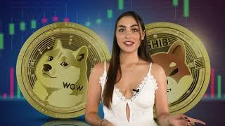 Descubre como ganar Doge Coin totalmente gratis antes de que se te escape