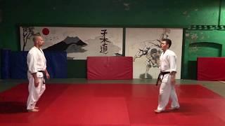 Shodokan Aikido - Randori No Kata (Kihon) - York