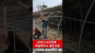 (DIY)1시간만에 비닐하우스 셀프시공