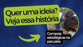 Quer uma Ideia? Veja essa História!!!