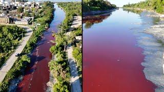 Residents Worried After River Turns Red in Argentina