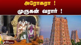 திருக்கல்யாண வைபவம்  காண வரும் முருகர் | Madurai   | PTT