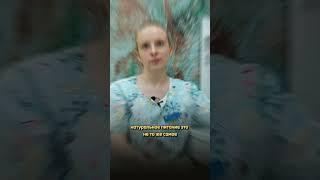 Натуральный или промышленный корм
