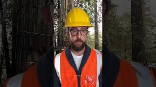 Real moments every day 02  #adamrose #construction #smartwork #satisfying #workers