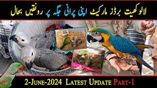 Lalukhet Birds Market 2024 Latest Update 2-June Part-1 | Sunday Exotic  Birds Market Karachi