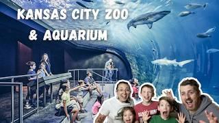 Kansas City Zoo & NEW Aquarium Exploring with the family