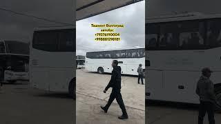Ташкент Волгоград автобус #автобус #ташкент #краснодар #астрахан #ростовнадону #саратов #крым #сочи