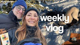 WEEKLY VLOG ️// Skorpion i Koza xD / szybki barszcz  / i'm platfusiara / budowa domu / Wwa //