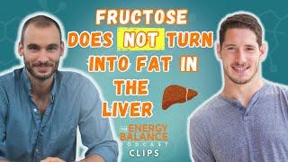 Why You Don’t Need To Worry About Fructose & DNL – What Happens To Fructose In The Liver