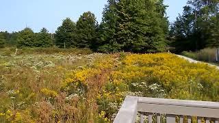 Sandy Ridge Reservation North Ridgeville Ohio 9/15/2022