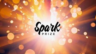 2017 Spark Prize - Our Spark Prize Recipients