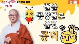 꿀을 공양물로 올린 공덕ㅣ광우스님의 소나무 2편 모아보기