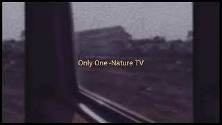 Nature TV - Only One (Unofficial Lyric Video)