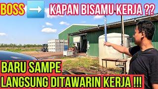 TAWARAN KERJA DI DARWIN AUSTRALIA  DI MUSIM MANGGA GAJI PULUHAN JUTA PER MINGGU NYATA ADANYA‼️