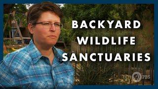 Our Land: Backyard Wildlife Sanctuaries
