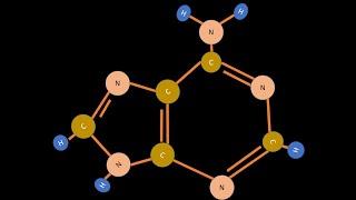¿Qué es la Adenina? - El ABC de la Biología