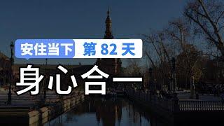 【安住当下DAY82】10分钟冥想引导｜身心合一的呼吸