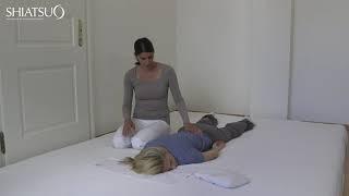 Shiatsu Film Shiatsu Gesellschaft Schweiz