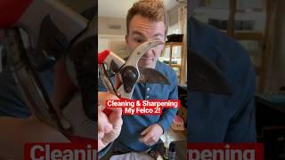 How To Clean & Sharpen Felco 2 Pruning Shears ️