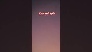 сломай мозг