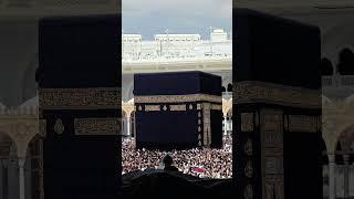 The Quran: A Guide for Life #qurantranslation #shorts #viralshorts