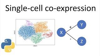 Single-cell gene co-expression | single-cell RNAseq methods