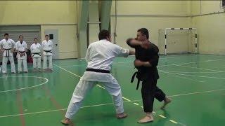 Shorin Ryu Karate Do - Okinawan Kobudo - Self Defense