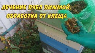 пчеловодство, лечение пчел пижмой, обработка от клеща, пижма для пчел