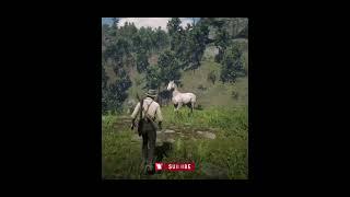 0.01% Players Know This - Rarest Horse RDR2