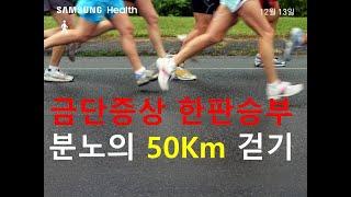 금연노하우 50km걷기로 금단증상 극복하기