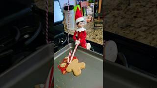I CAUGHT MY ELF ATTACKING MY COOKIES!! #shorts 