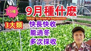 What to grow in September/9月種什麼