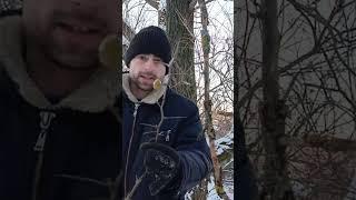 Птица ухокрыл!#shortvideo #мороз #выживание #зима #против #шерсти