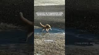 #юмор #шуточное #приколы