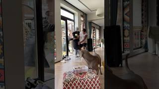 С ним мы чувствуем себя под защитой 