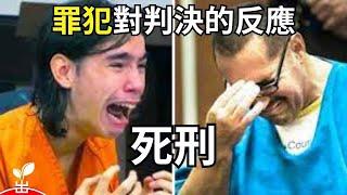 令人毛骨悚然！這些罪犯在法庭上的瘋狂舉動【出類拔萃】