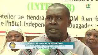 Commercialisation du sésame : l’interprofession en conclave sur le prix à Ouagadougou