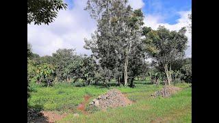 Fifty residential plots for sale in Ngong town in a controlled development