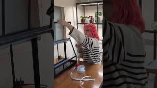Ikea Akerbar Mini Greenhouse Set-Up   #plants #diy #houseplants
