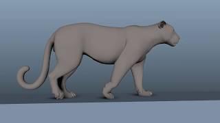 Leopard walk cycle animation !