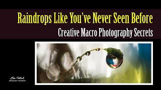 The Art of Photographing Raindrops