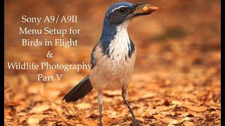 Sony A9/A9II Menu Setup for Birds in Flight & Wildlife Photography - Part 5 of 5