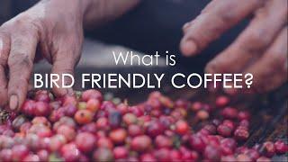 What is Bird Friendly Coffee?