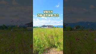 ️[아침부터 밤까지]가을 당일치기 경주 여행코스